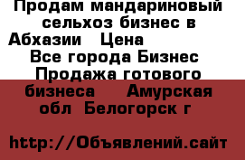 Продам мандариновый сельхоз-бизнес в Абхазии › Цена ­ 1 000 000 - Все города Бизнес » Продажа готового бизнеса   . Амурская обл.,Белогорск г.